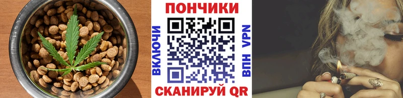 где найти Курчалой Cannafood конопля