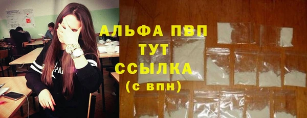 тгк Новодвинск