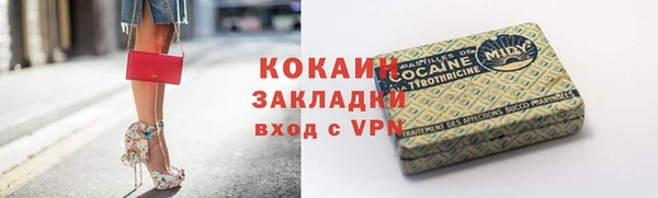 тгк Новодвинск