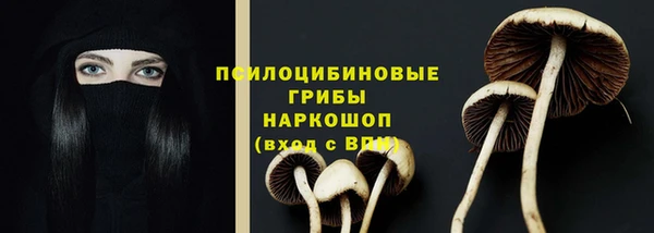 дживик Новозыбков