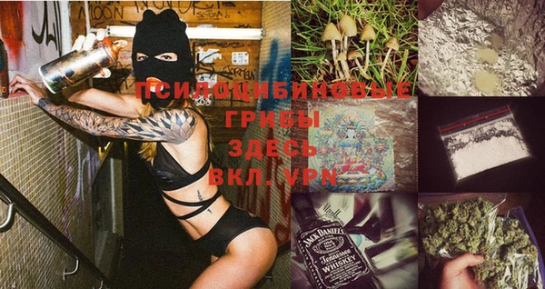 дживик Новозыбков