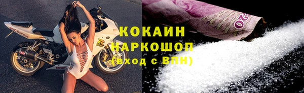дживик Новозыбков