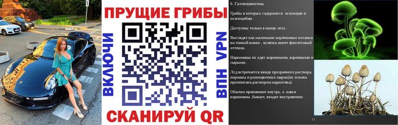 Псилоцибиновые грибы мухоморы  Курчалой 
