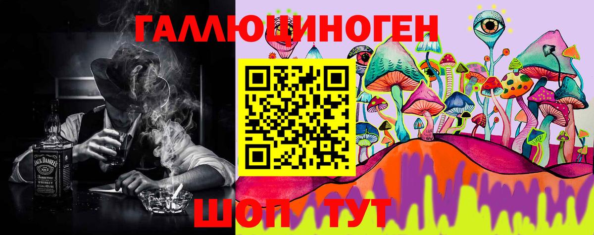 Галлюциногенные грибы Psilocybe Курчалой