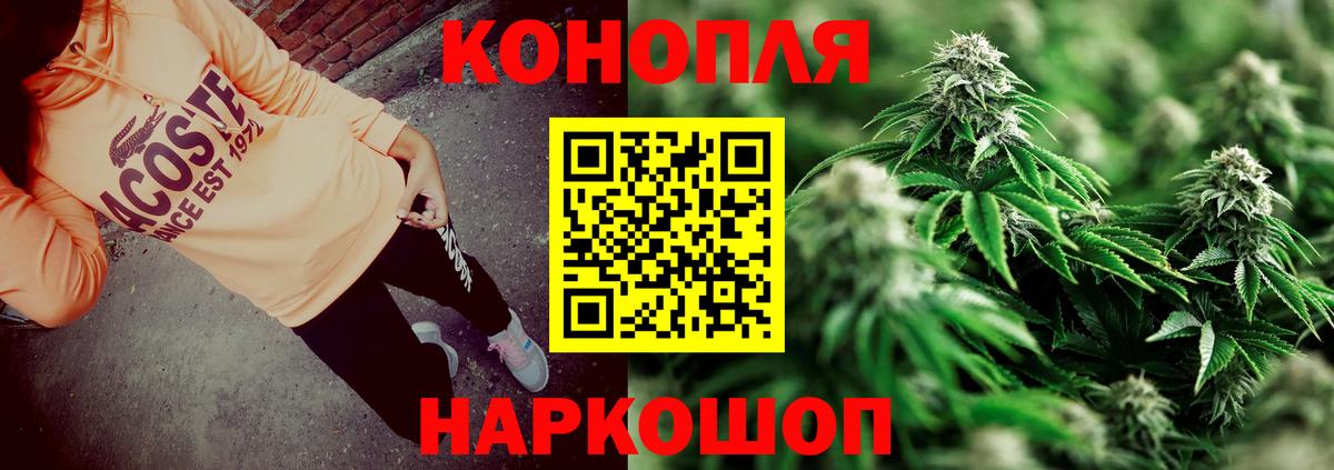 Шишки марихуана планчик  Канабис план  МАРИХУАНА SATIVA & INDICA  Вход с VPN  Конопля планчик  Курчалой 
